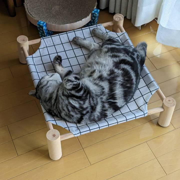 Ce12e8fc e127 468b 8e48 1abd7698fec2 1686581664937