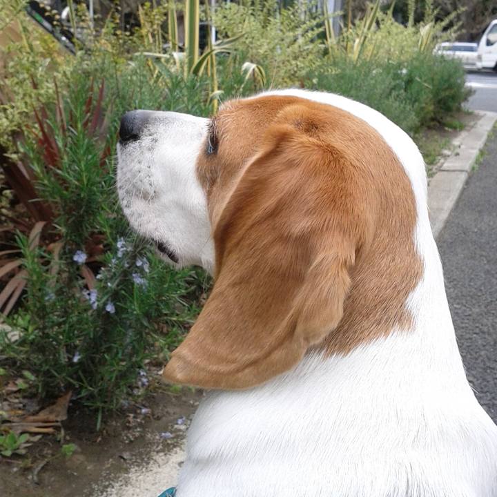 Ce12f309 d1ed 4038 b806 55e48523adc6 1521687071328