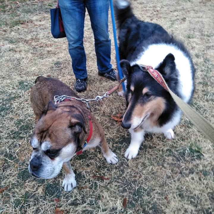 Ce130399 89b5 4f15 96cb cc1315e72e9e 1521547285892