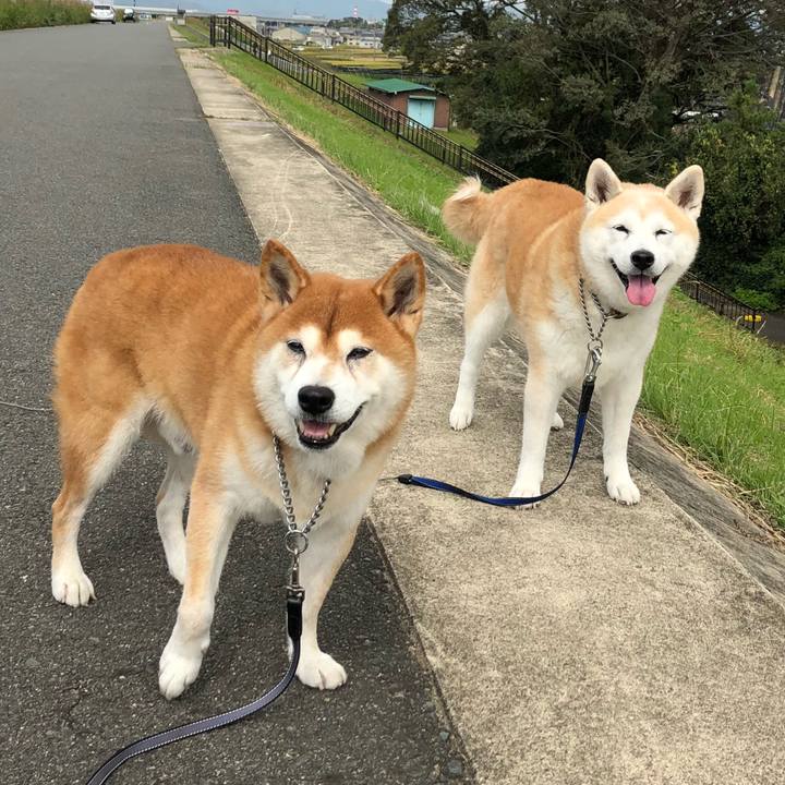 Ce131b53 6471 4af1 ba83 d9368adf3510 1539477903897