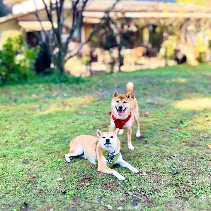 Ce13cb6e f0a3 4556 aa29 1dd4ae1652c0 1670712037138