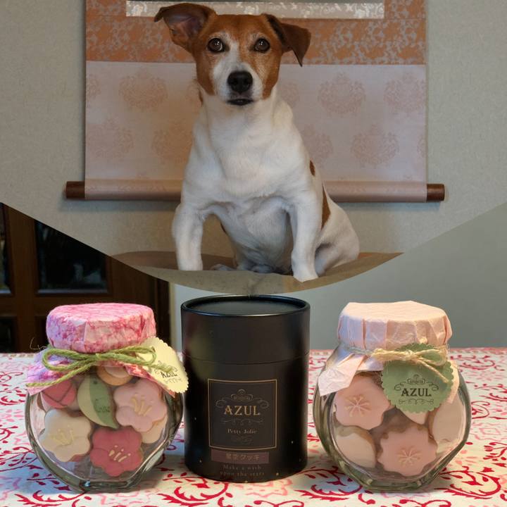 Ce13fef6 aa44 4c47 8ad1 5510e267720f 1581847418181