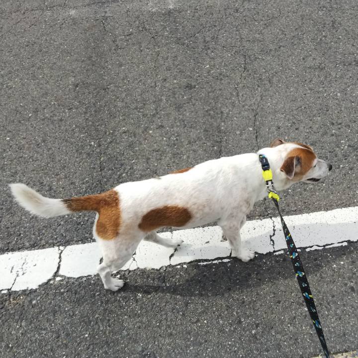 Ce140827 1ad1 4da0 a681 24a606a4ff21 1525356676990