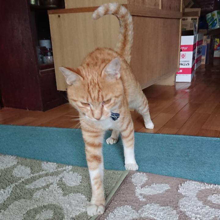 Ce144f46 5f5f 4f7b a676 dbbc672f4dfc 1563872530380