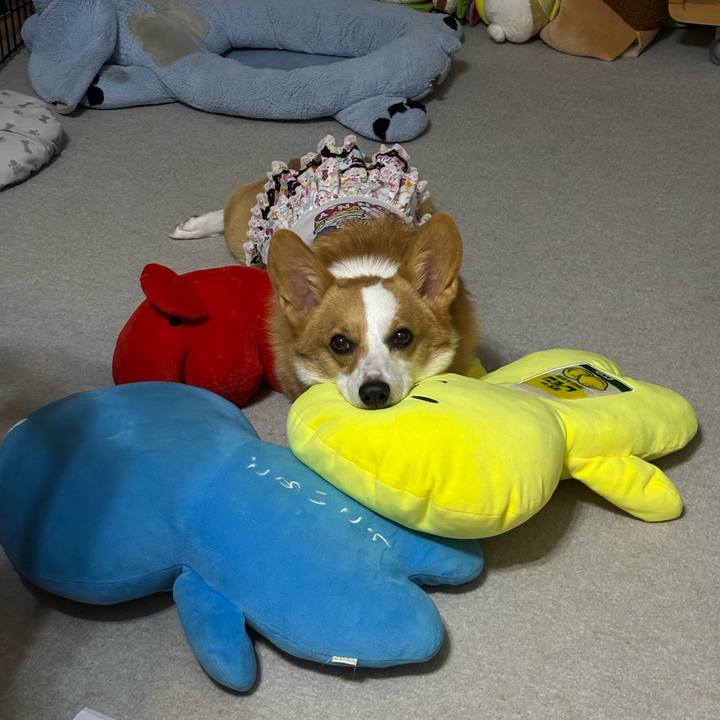 Ce1486aa 1c7e 4d76 83db 2770c178a65d 1760026302577