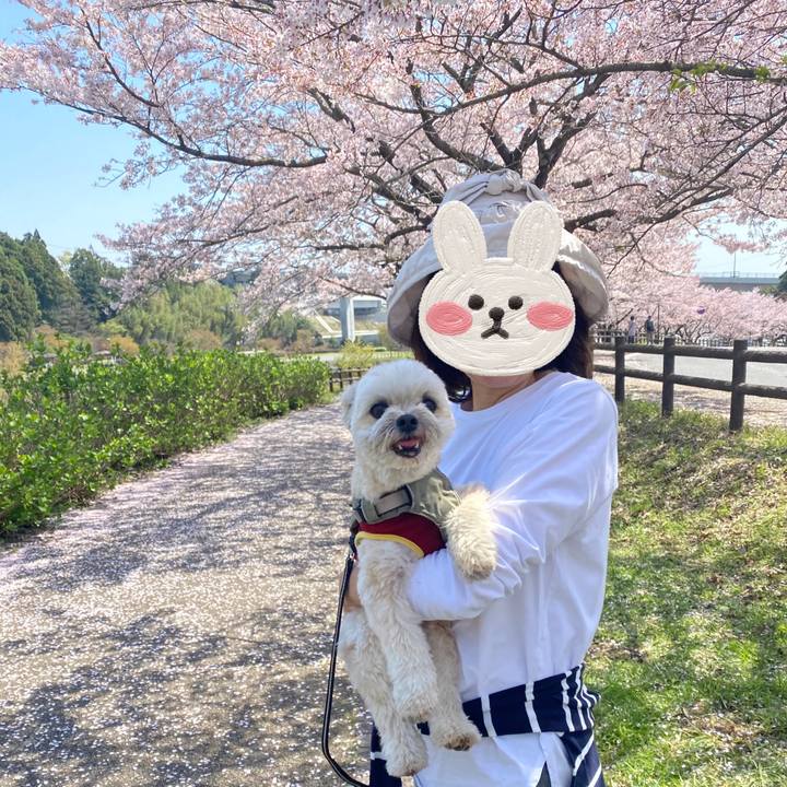 Ce14c9e5 6f6c 4b19 b581 90aa3d4f6b83 1680347801819