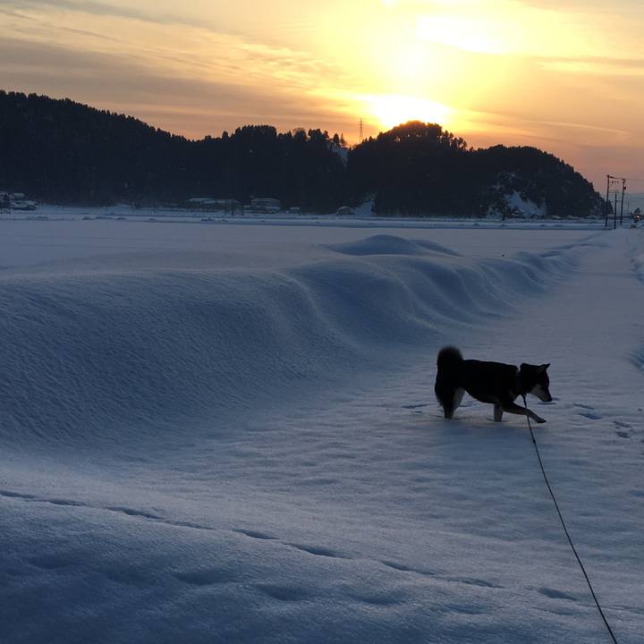 Ce150bb7 bec1 4cdf a504 cd329daeda7a 1518239544307