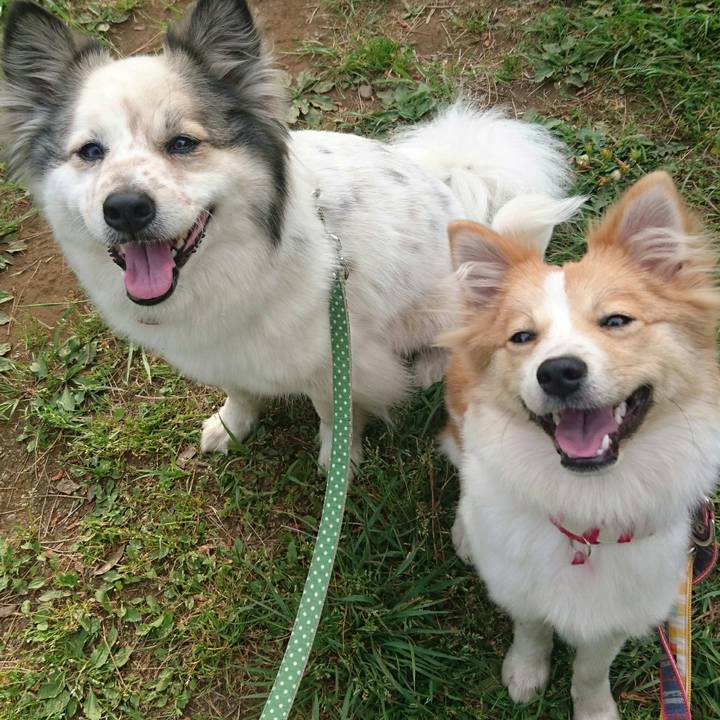 Ce1518b3 8879 44db a175 942bd236d83a 1521631800383