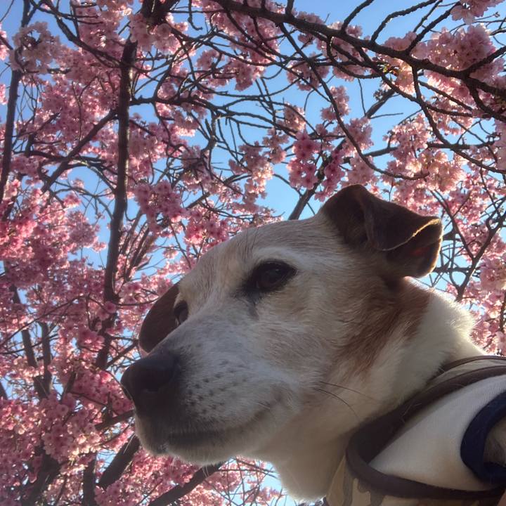 Ce152a90 9a2f 463e b9f2 3592c4a49848 1774310336743