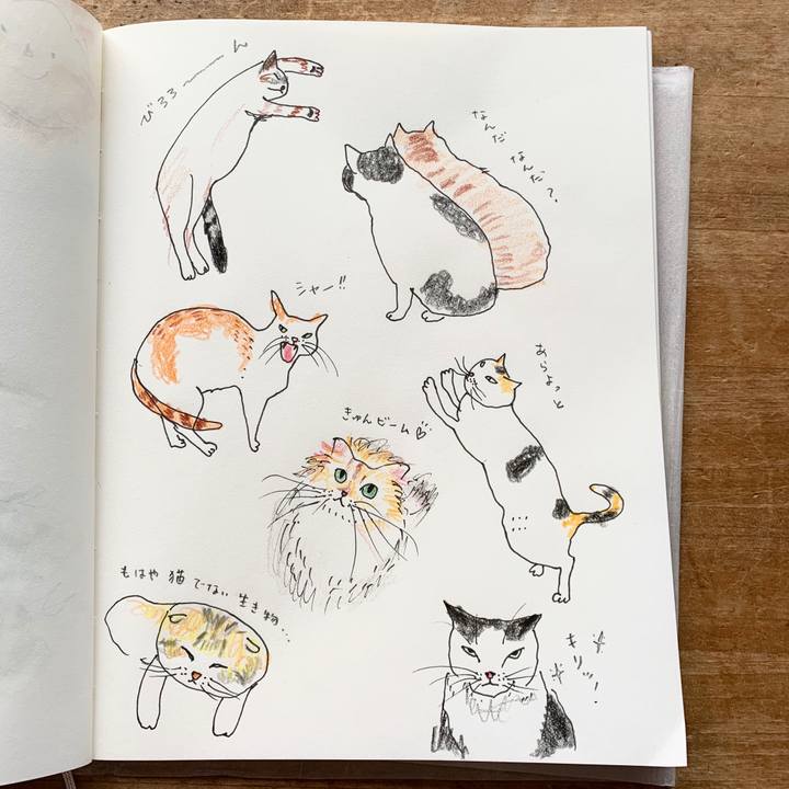 Ce1552c6 0178 4aab b6fc 8c40bb5a4364 1588058322547