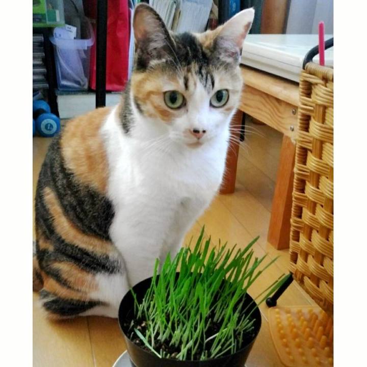 Ce155fb1 5c2e 4e54 9590 e52b9e523fe5 1533011415279