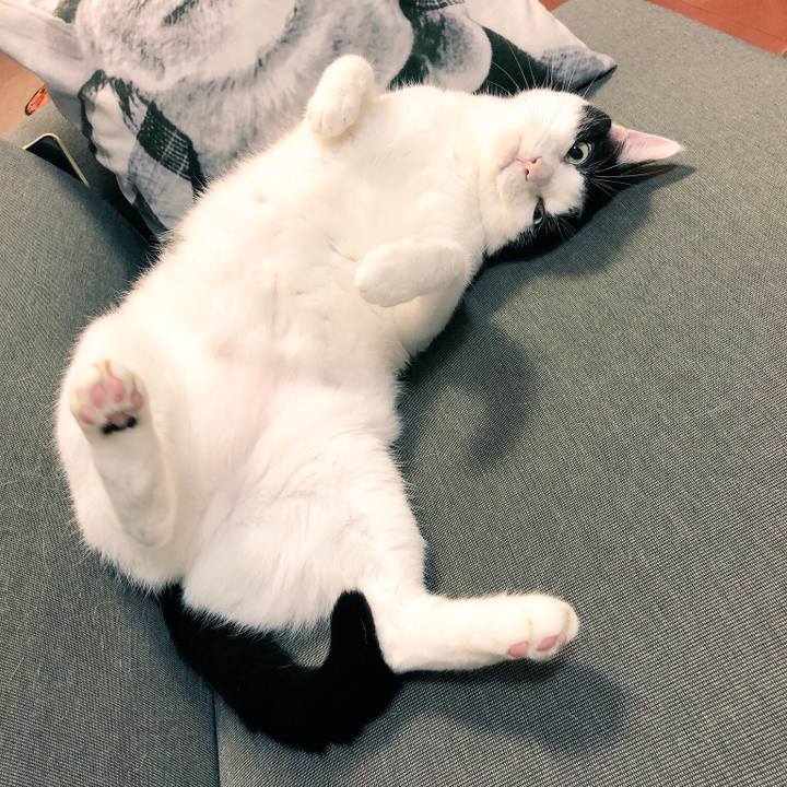 Ce1562dc c43e 4aa3 9ff4 4801138a7891 1538320975543