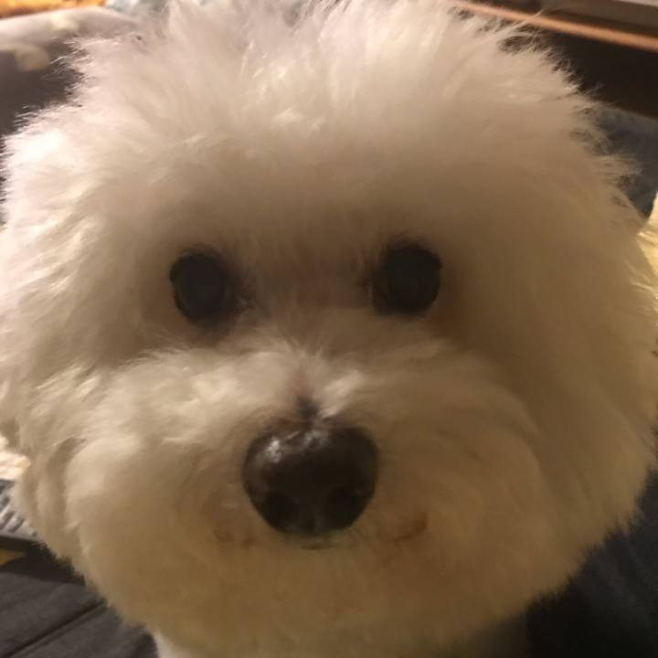 Ce15660d 8b3d 4c2e 859d 307c4b69cea5 1598190463350