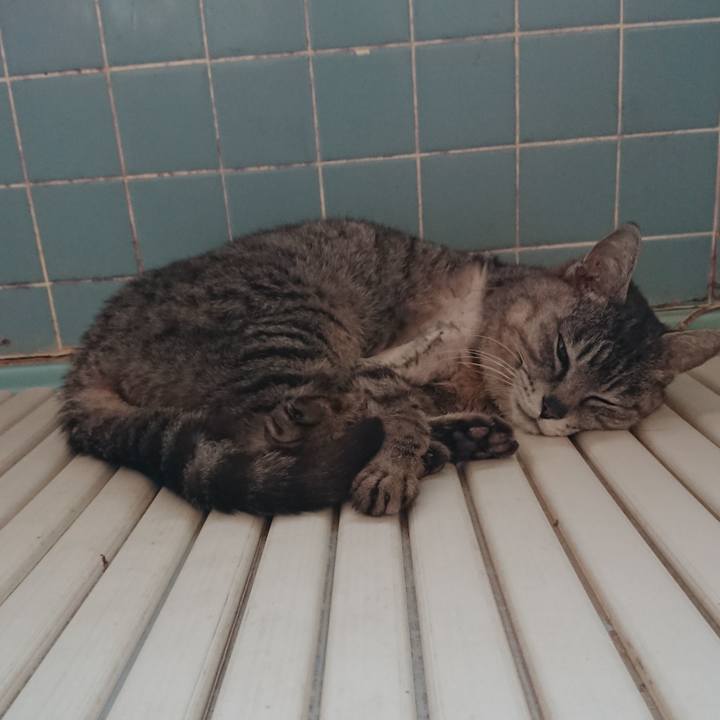 Ce15742d 3387 40ce b6bf fed3f69256df 1589316383721