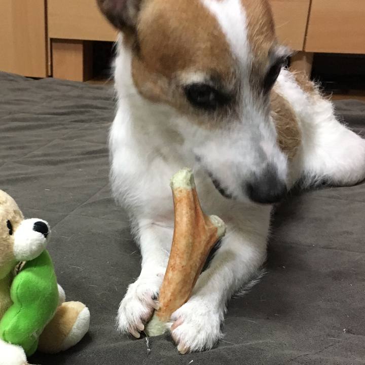 Ce15f2e4 c408 47ac 803d da7a2cd44bdd 1559792052035