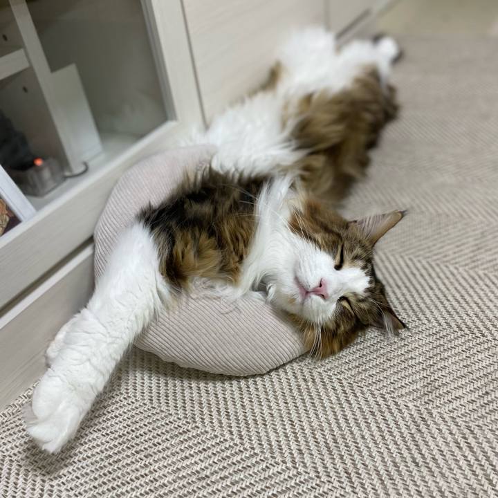 Ce15fd65 6bbb 4e6b b2b5 85641a2b92e6 1671274993670