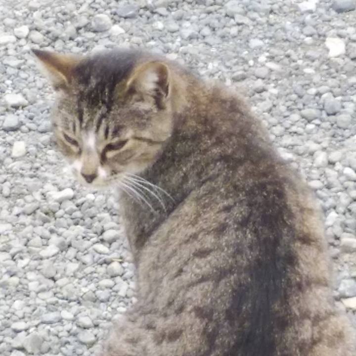 Ce160146 d23c 4081 9bdd 6c31df095394 1590451024903