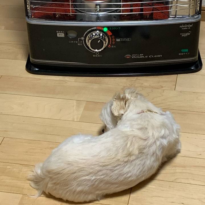 Ce1605b8 f21d 4d9a adef eed0c8589ac8 1576396589232