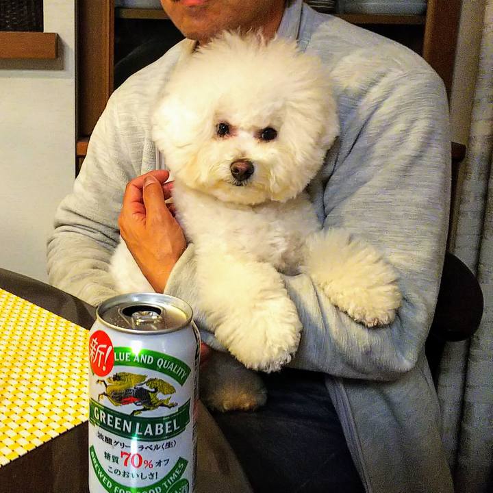 Ce160d6b 44d5 4719 8499 297842a131c6 1556715446051