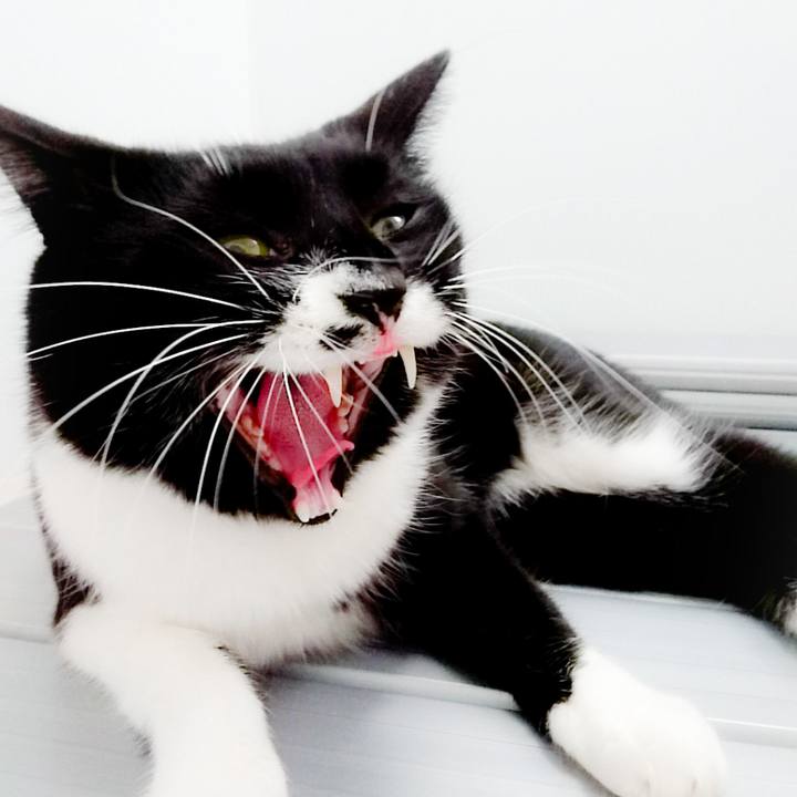 Ce168175 a02e 4830 bbaa fe0e3c9cca34 1509206725217