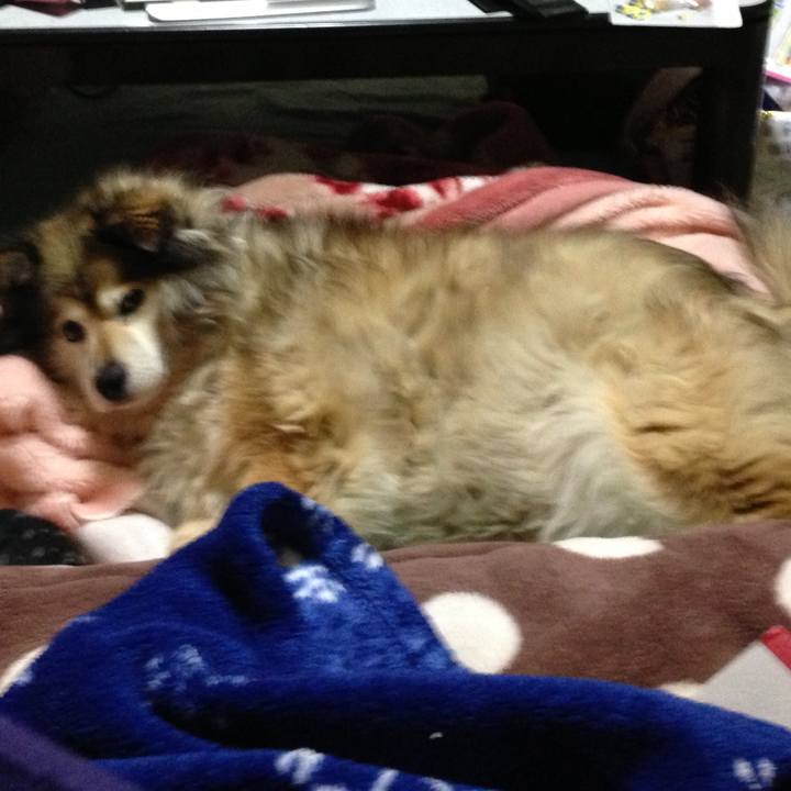 Ce16a368 8773 4fe7 aebf bd159d316bc0 1550834270674