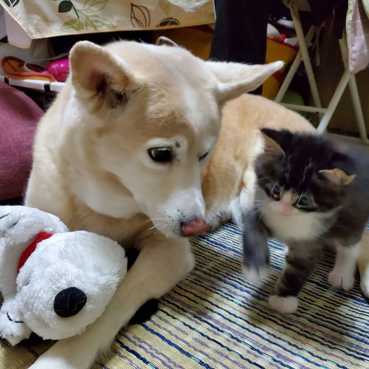 Ce16a436 0a12 42b8 ac2a 0224960eec1d 1625400762150