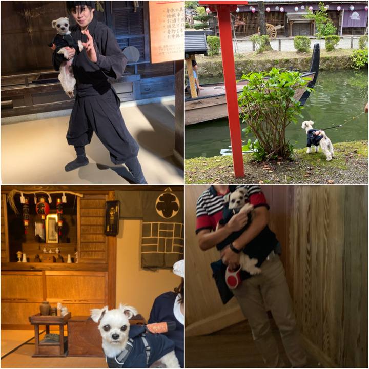 Ce16ab8a be50 4594 9a93 0c145168830c 1570499337534