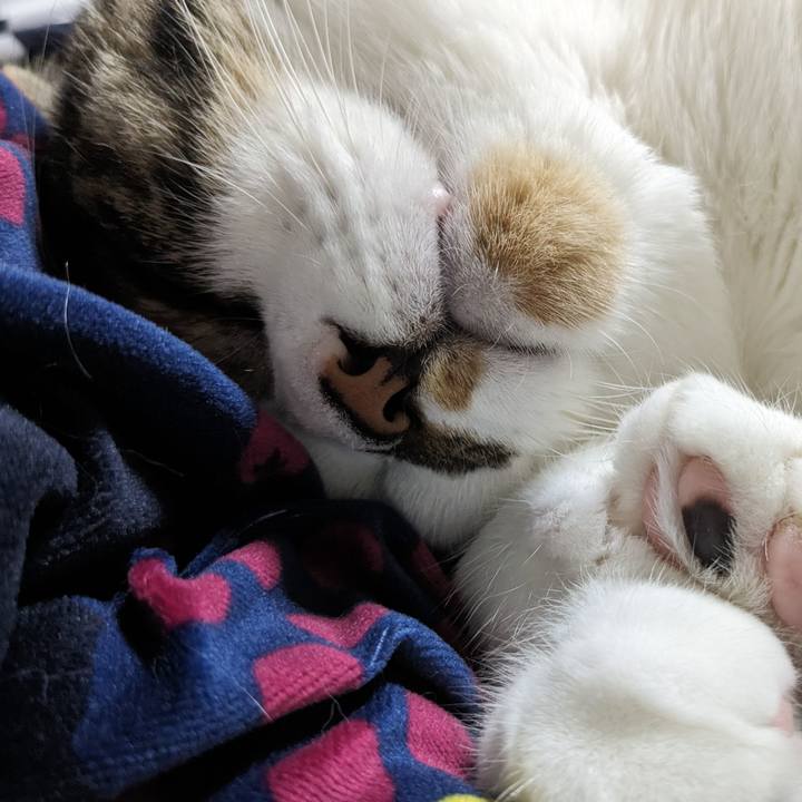 Ce16baf5 65f3 47b8 9416 a6be0cbb2aa7 1691917041191