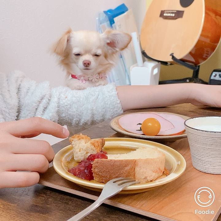 Ce16e7da 53d5 40c2 87ad bd68f11713da 1615848616769