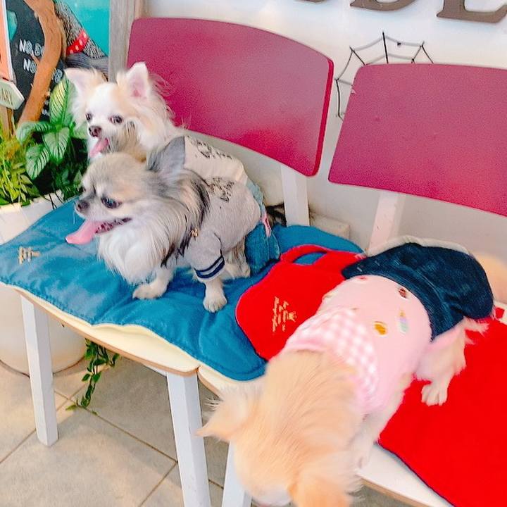 Ce170e78 583f 48dc 9b20 4689ea056b02 1634019256123