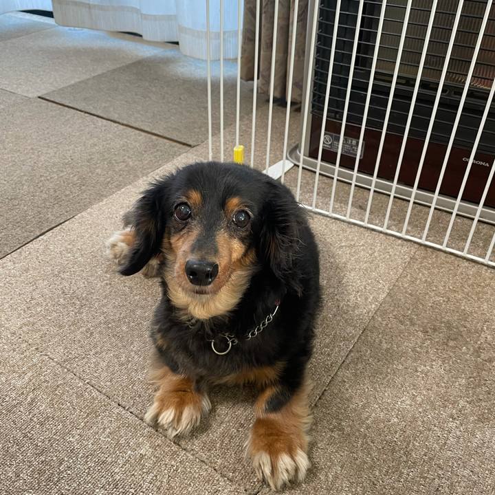 Ce17241c 5dc7 4f1e b1a5 61285ac13cbd 1635976777258