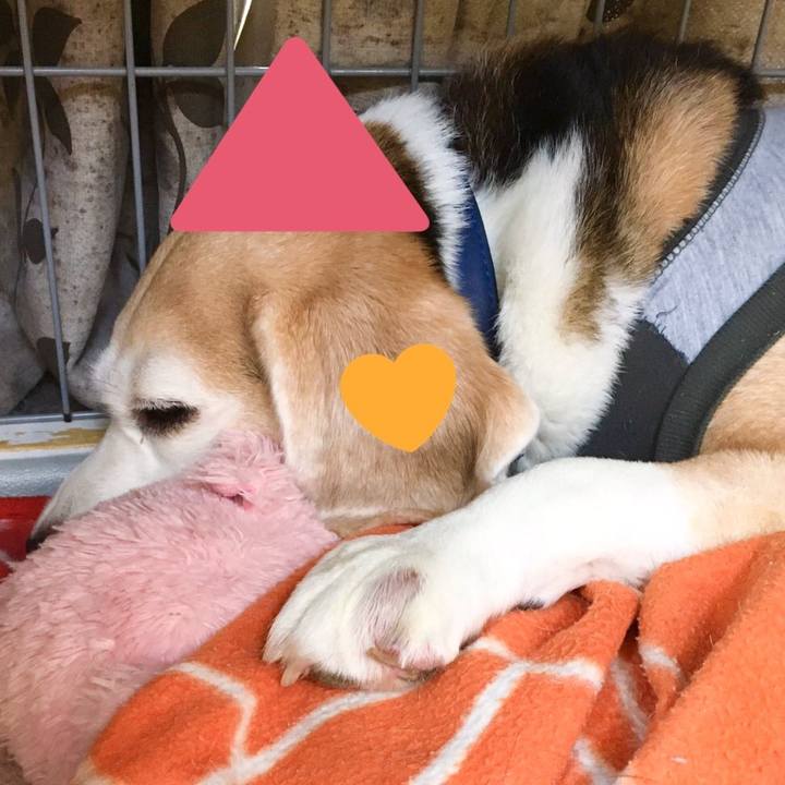 Ce172942 9a2b 43d0 9db1 ff0005f17c9f 1572493051246