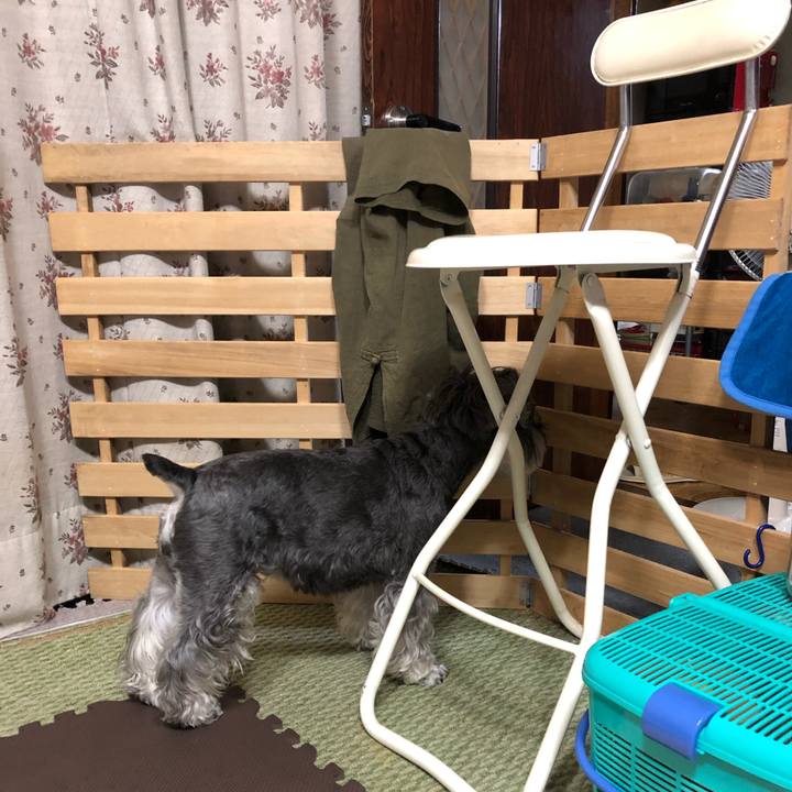 Ce17ca6d 48d3 4042 8575 b9f8428d601f 1663595652225