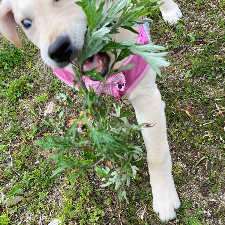 Ce17f036 efc7 4295 a2be e80f4af5022b 1615453265417