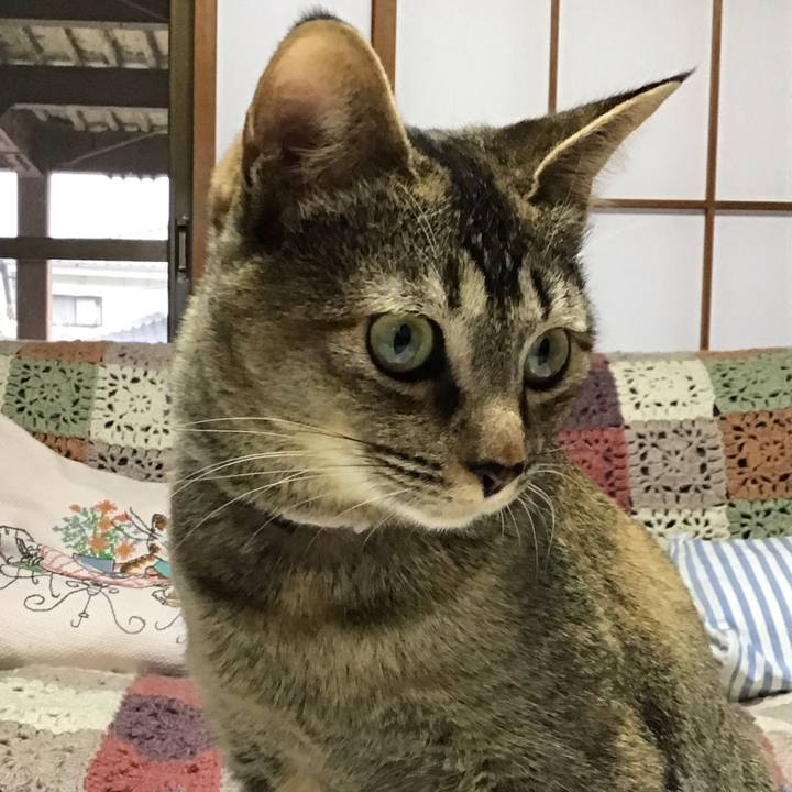 Ce17fc63 f346 4964 bf1f aec790bd81fd 1581667548211