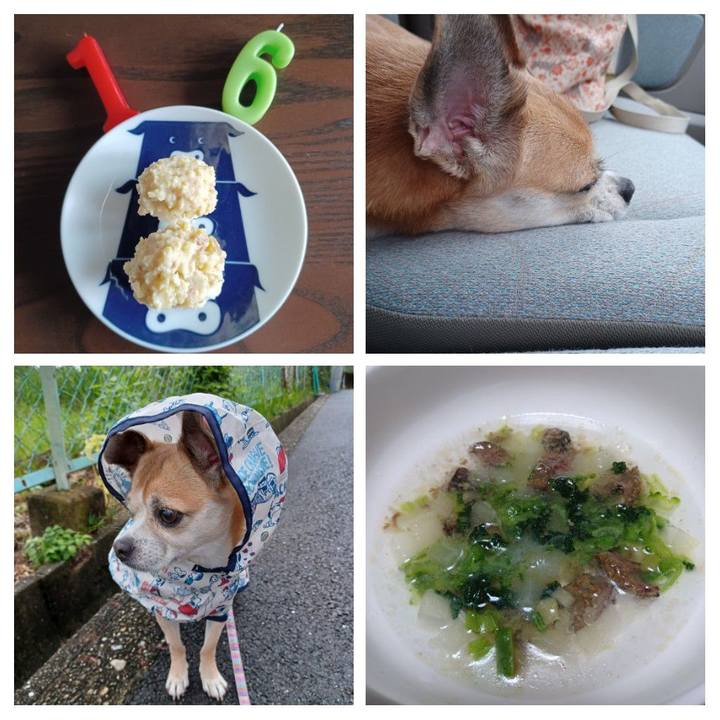 Ce1847ac 006c 49c2 81d2 d99140f0c894 1663924050258