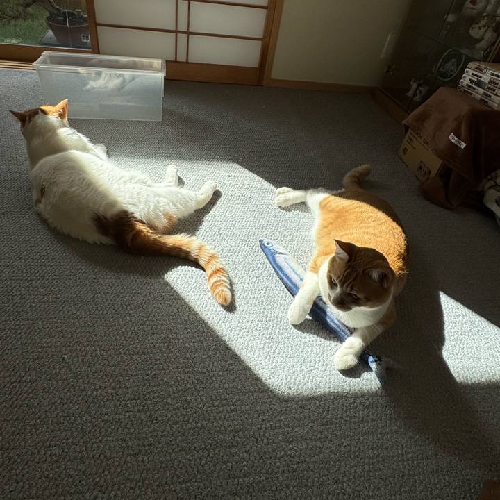 Ce1878db 67cf 470b 8f87 dda114e784ba 1761532029862