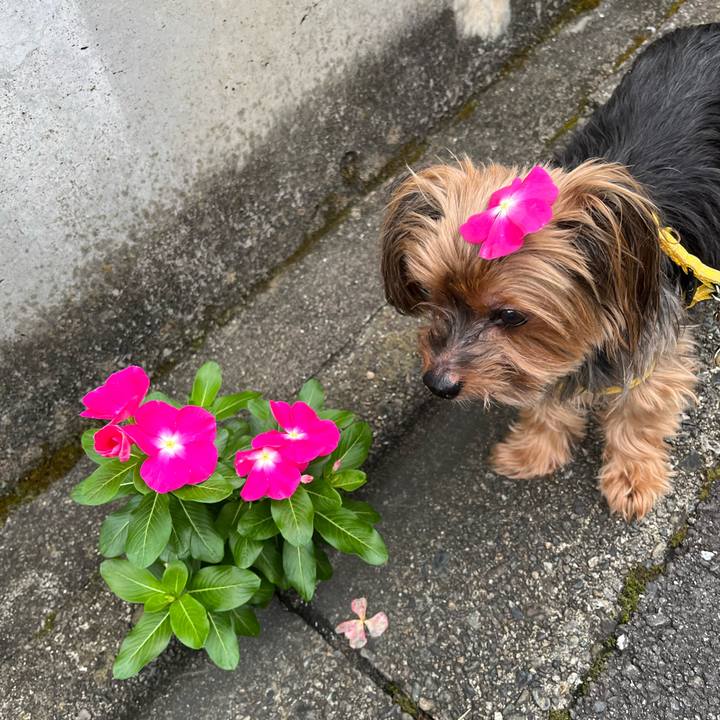 Ce187c8c 8b7a 4aa5 a711 f4bbb4d60ca4 1694309895004