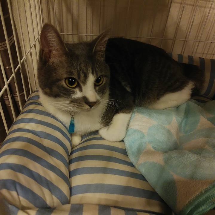 Ce18c96f 100b 4202 9e7f 9cacc3c44a82 1585928489268