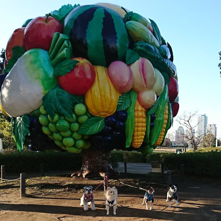 Ce18f27e 5118 4849 9944 cd5124b93ca8 1578742309644