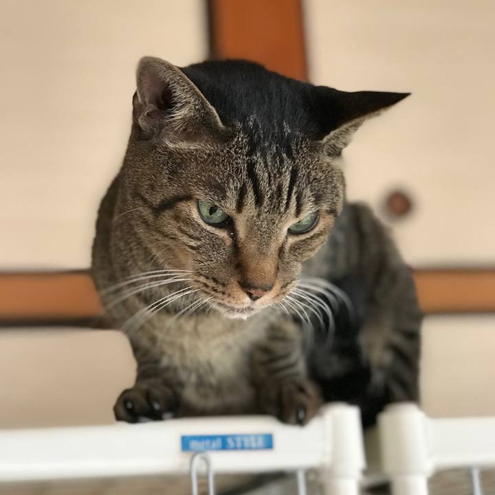 Ce18fd0e 5fc5 4d22 b589 d41de32b2310 1511400335541