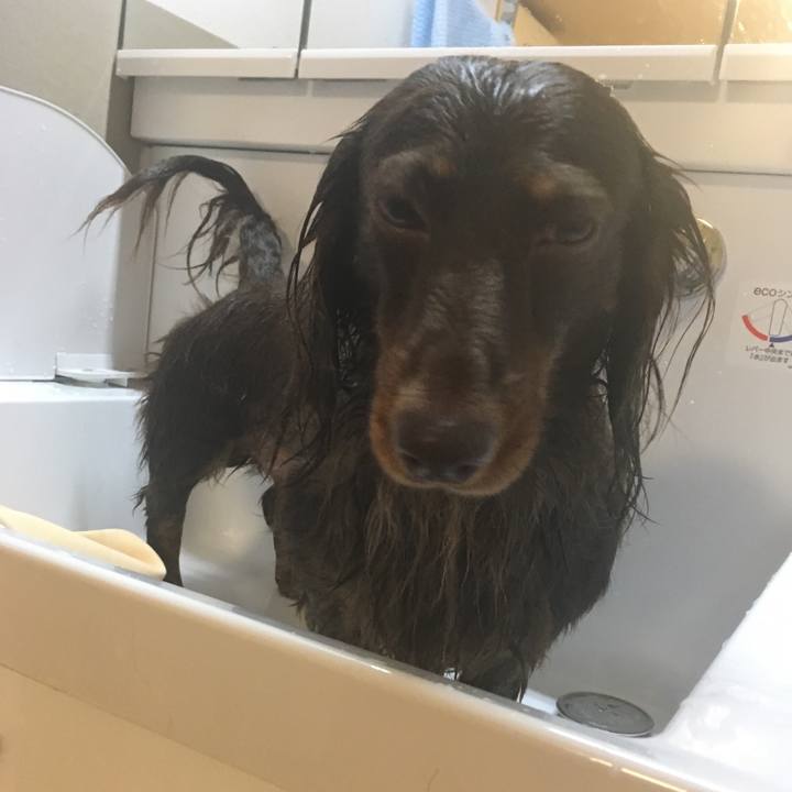 Ce190fc5 2f88 4752 aa2d 921e10b5ce0c 1508685581271