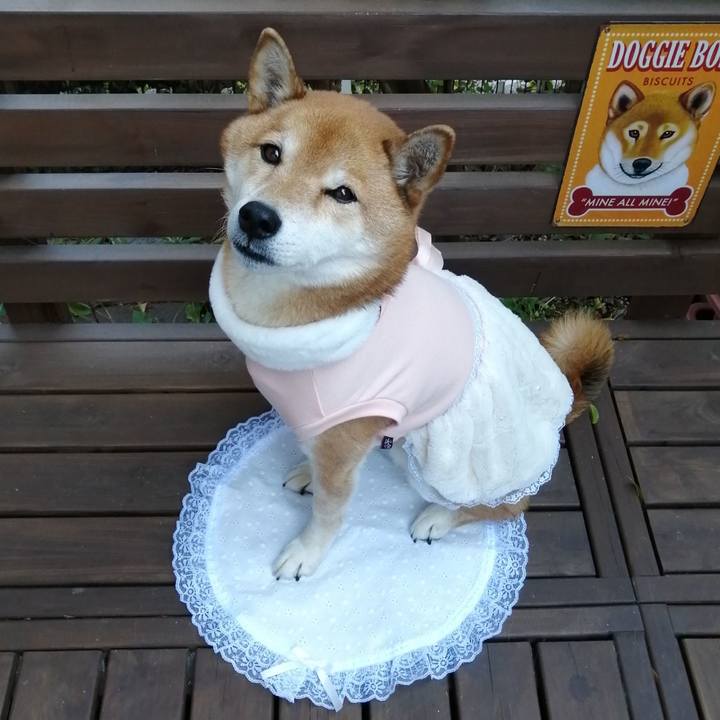 Ce191509 415c 4671 9639 e55895693a80 1640608211795