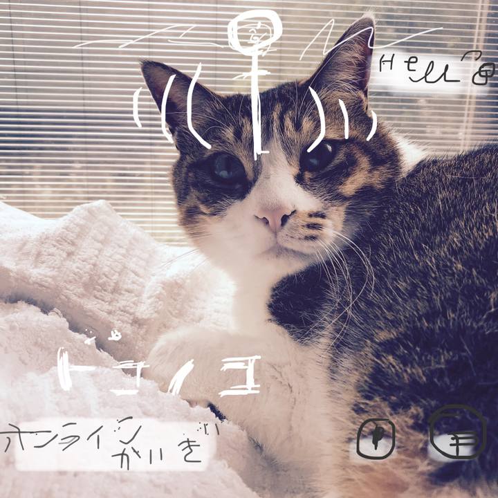 Ce191e26 b9f9 417f b77b 42b9e15b4186 1590805094119