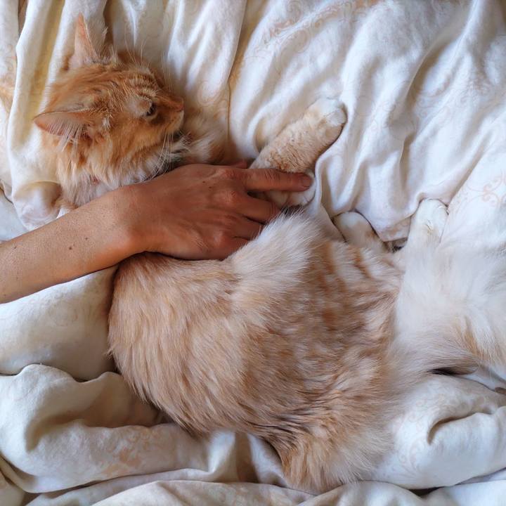 Ce19437e 6fe9 4c83 9396 335b3f01429e 1658958690869