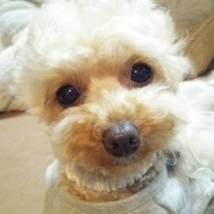 Ce194a65 f91f 44f1 93ec 4e8651a5c8a6 1524832296706