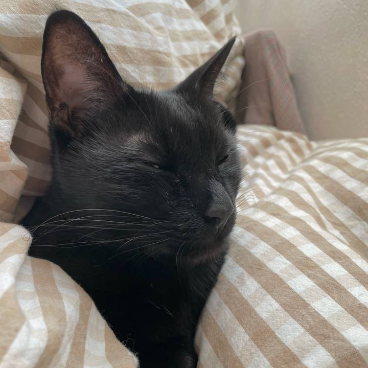 Ce19ad75 2a75 4310 840b fa8e93672d28 1761982521582