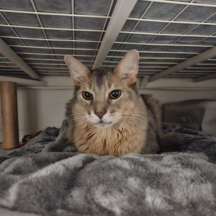 Ce19b3af 6a16 430a 8e1e 93db1ebe5e94 1734092483429