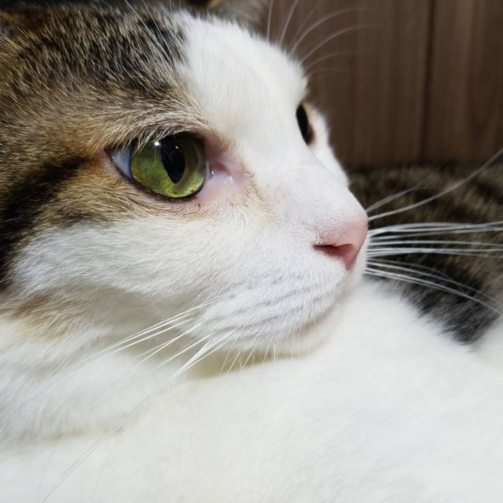 Ce19c2e1 74fd 48bb 83d8 928cacc263af 1573507137042