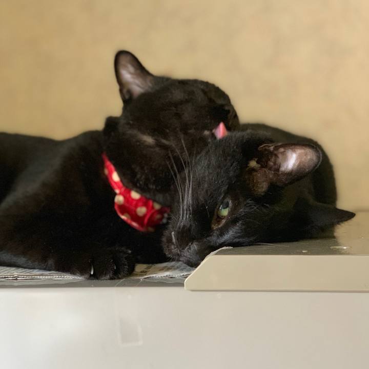 Ce19de8c ae03 4060 a10d dc1fb11af149 1562196734563